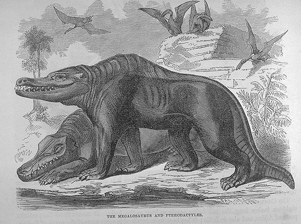 Megalosaurus