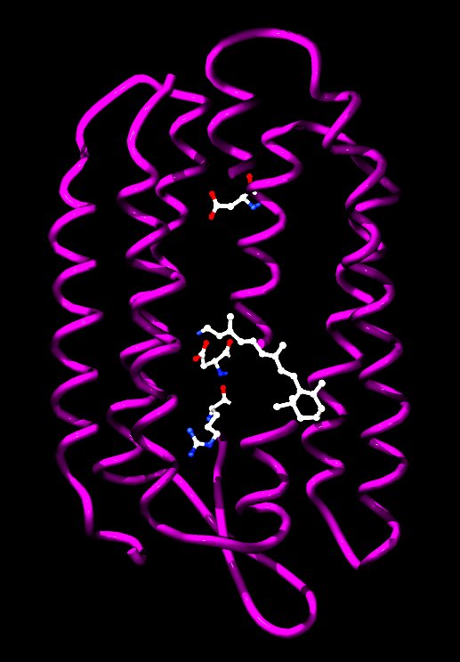 Bacteriorhodopsin from Halobacterium salinarum.