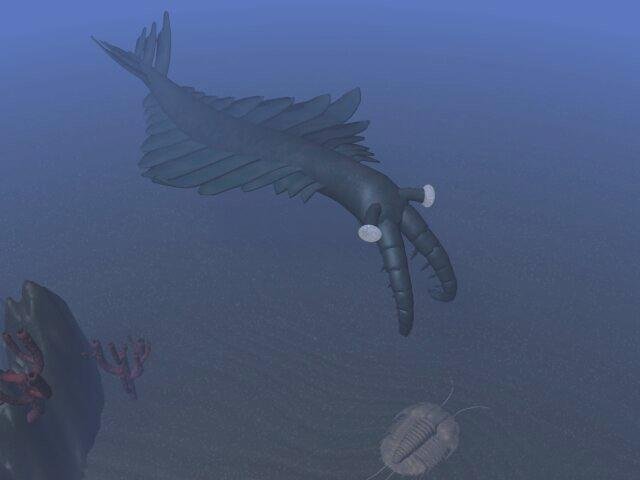 Anomalocaris