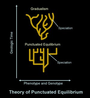 Speciation