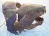 Dunkleosteus