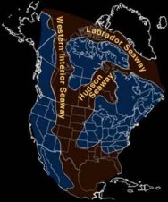 Western Interior Seaway during the mid-Cretaceous