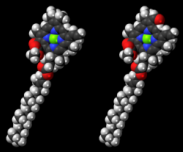 Chlorophyll for Photosynthesis