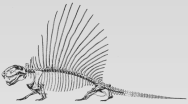 Dimetrodon