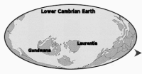 Lower Cambrian Earth, noting location of Laurentia and Gondwana  